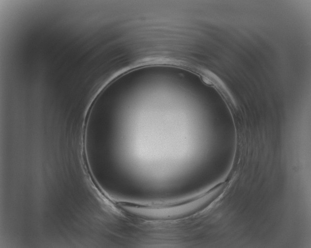 X0000073511244200608071047