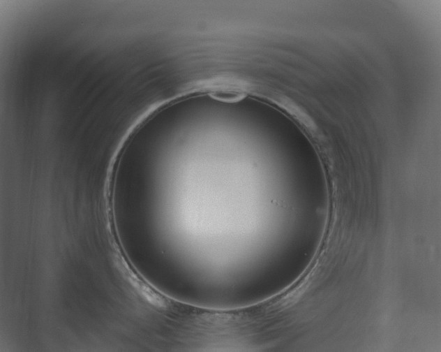 X0000073511248200608071047