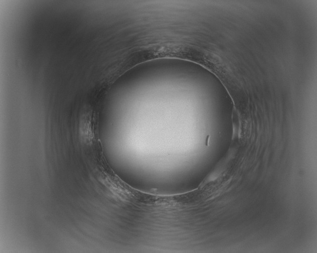 X0000073511250200608071046