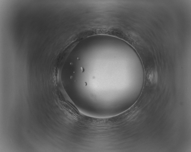 X0000073511252200608071046