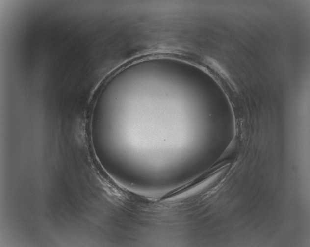 X0000073511260200608071046