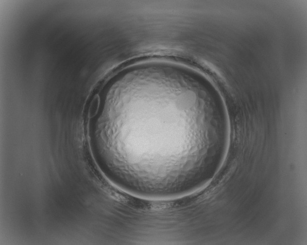 X0000073511267200608071046