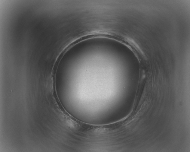 X0000073511268200608071046
