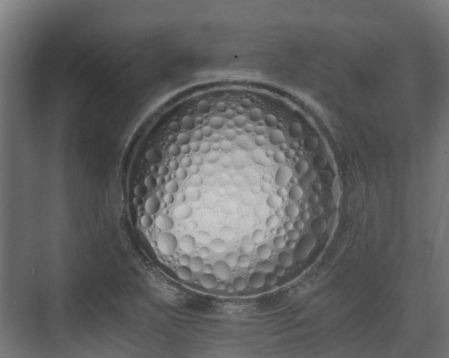 X0000073511271200608071046