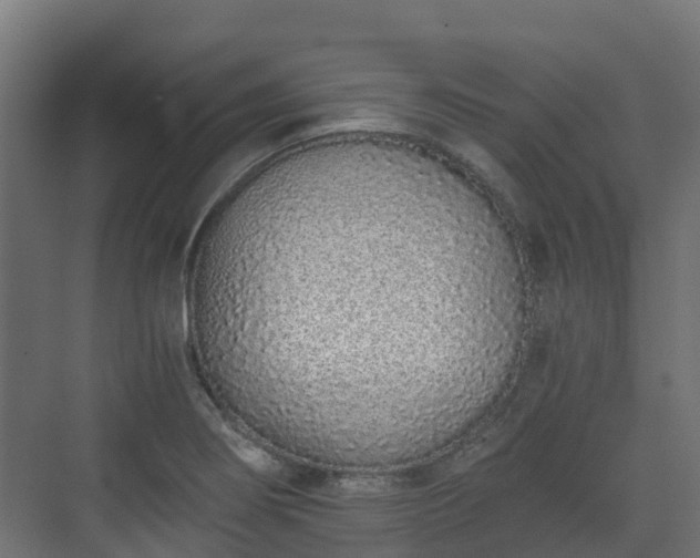 X0000073511274200608071046