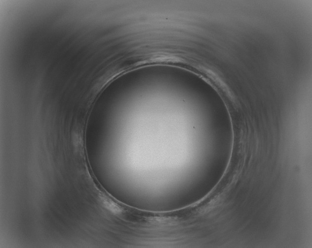 X0000073511281200608071046