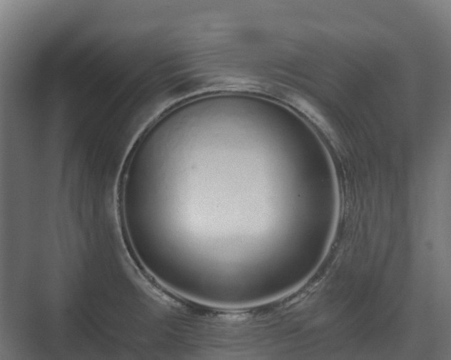 X0000073511283200608071046