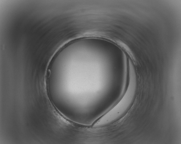 X0000073511288200608071046