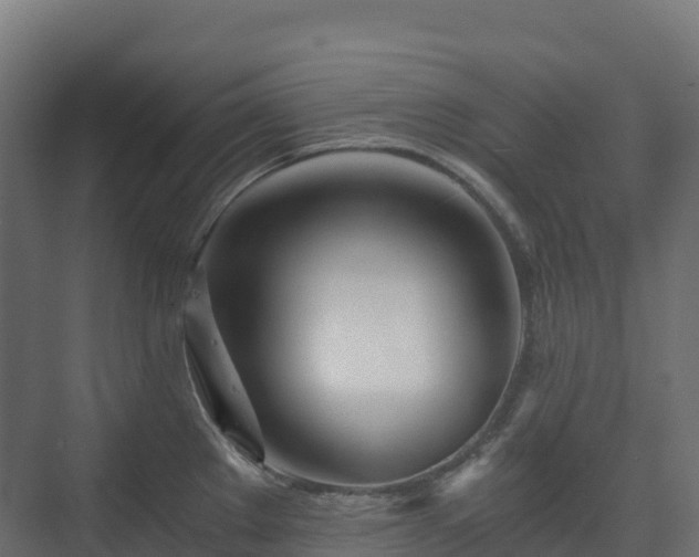 X0000073511289200608071046