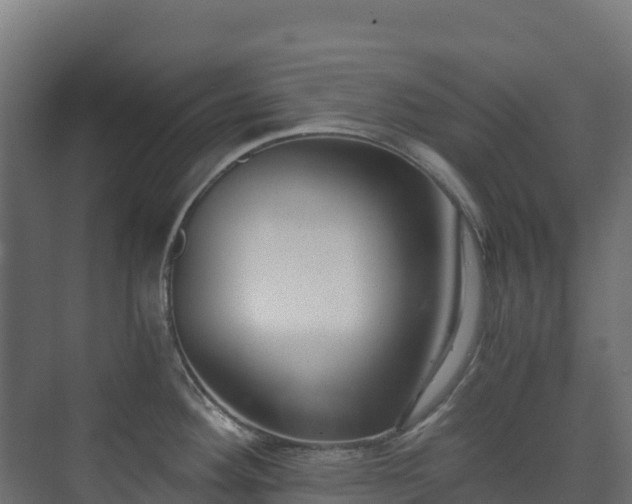 X0000073511292200608071046