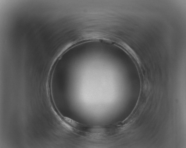 X0000073511293200608071046