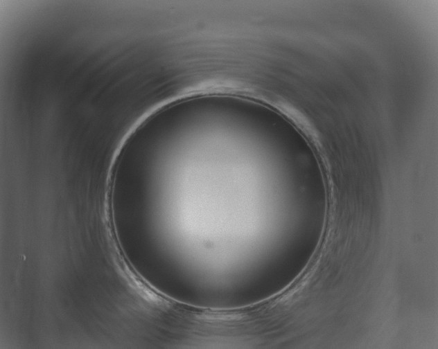 X0000073511296200608071046