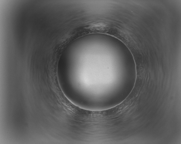 X0000073511297200608071045