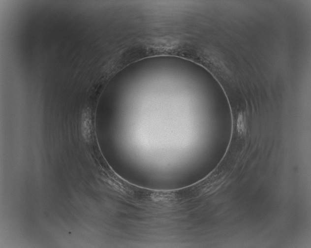 X0000073511299200608071045