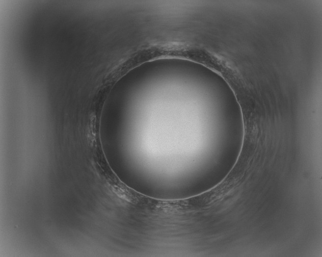 X0000073511301200608071045