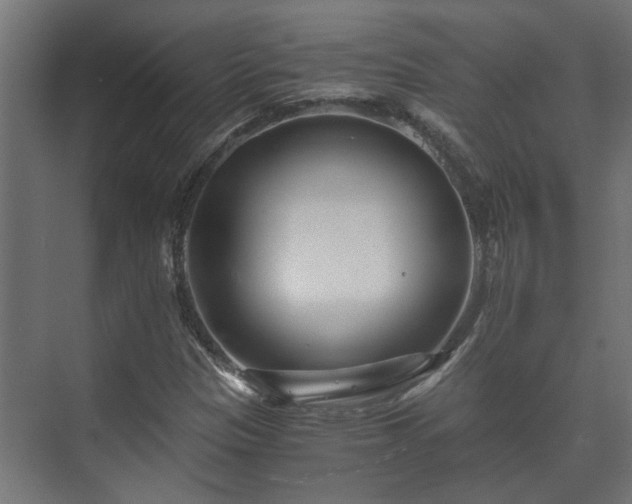 X0000073511305200608071045