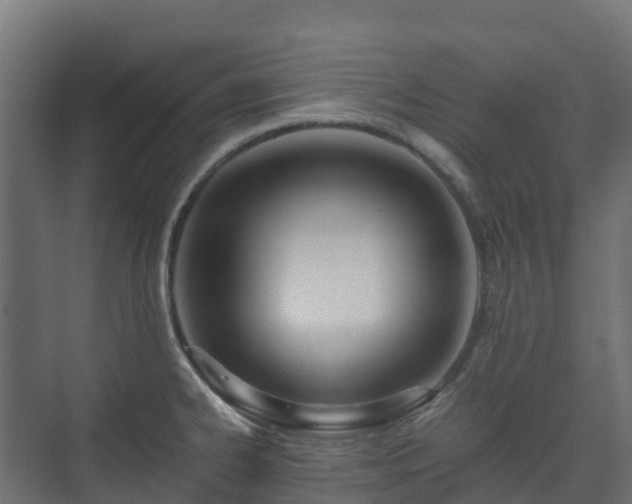 X0000073511334200608071045