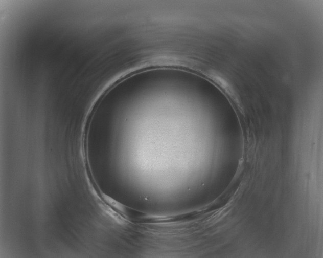 X0000073511342200608071046