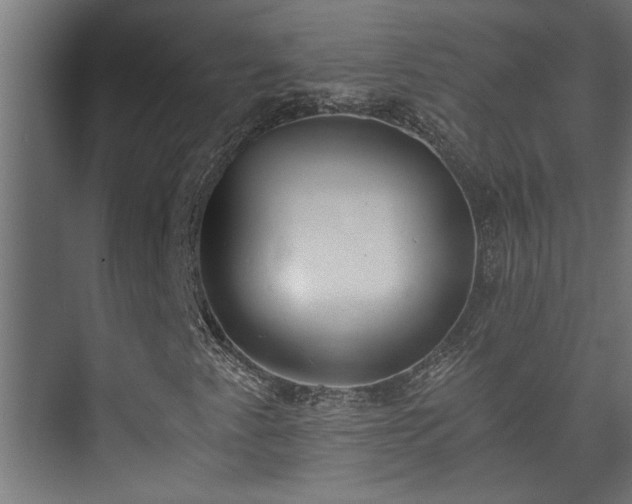 X0000073511345200608071045