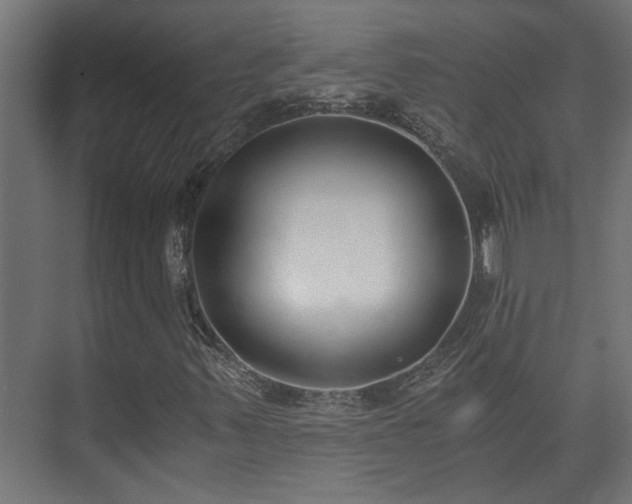 X0000073511347200608071045