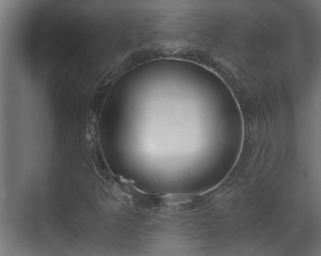 X0000073511349200608071045