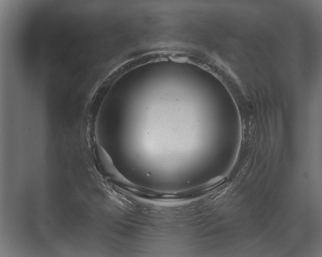 X0000073511352200608071045