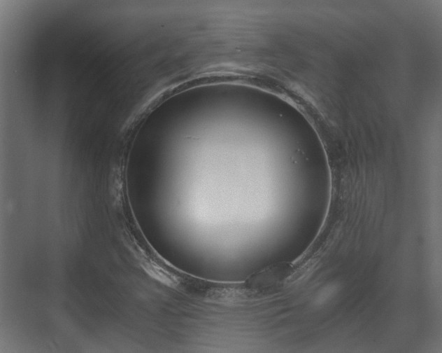 X0000073511355200608071045