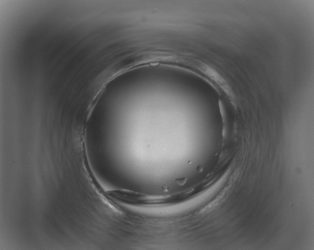 X0000073511377200608071044
