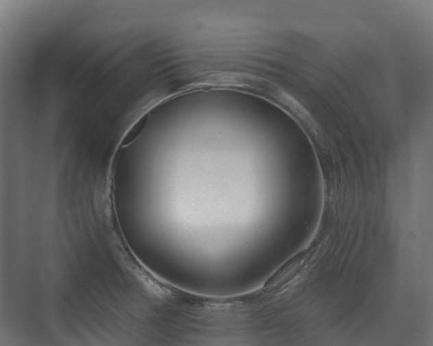 X0000073511378200608071044