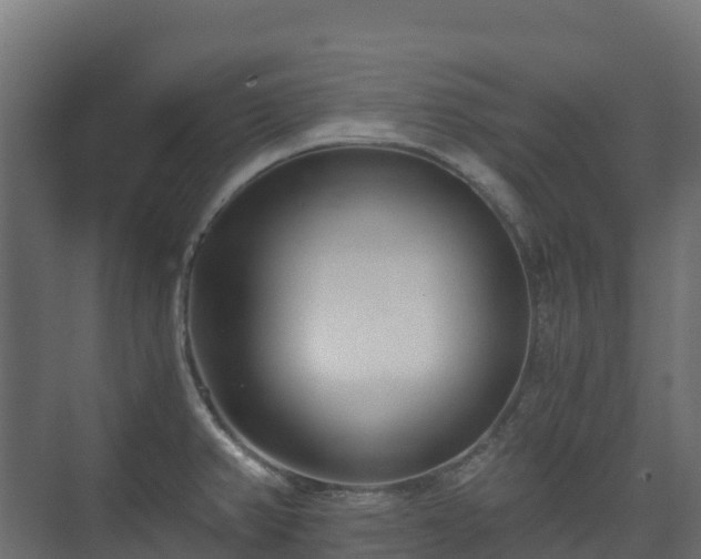 X0000073511382200608071044