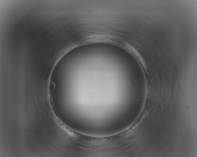 X0000073511386200608071044
