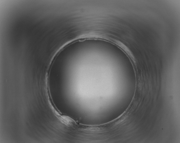 X0000073511388200608071044