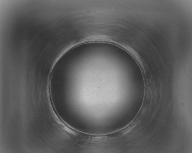 X0000073511390200608071044