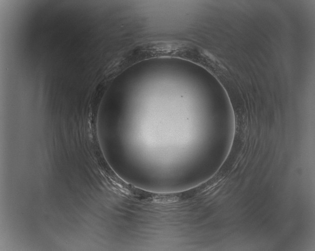 X0000073511394200608071043