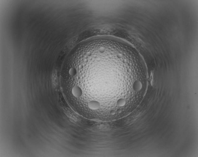 X0000073511395200608071043