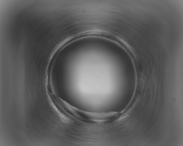 X0000073511418200608071044