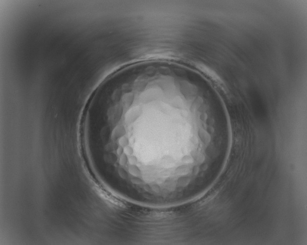 X0000073511423200608071044