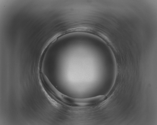 X0000073511426200608071044