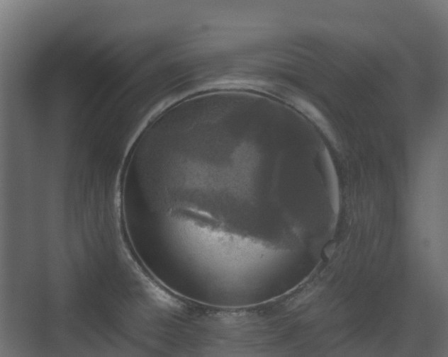 X0000073511428200608071044