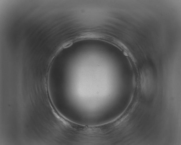 X0000073511433200608071044