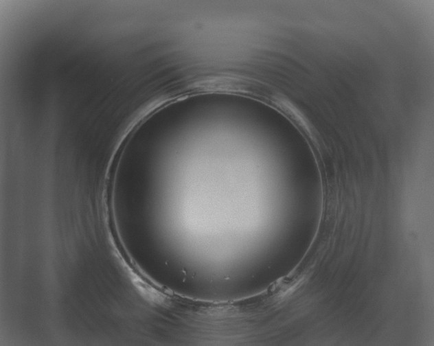 X0000073511434200608071044