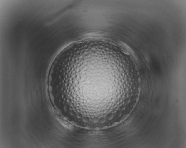 X0000073511435200608071044