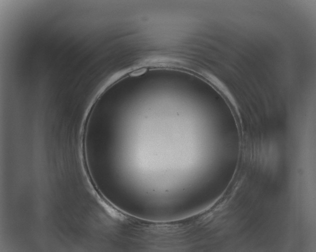 X0000073511437200608071044