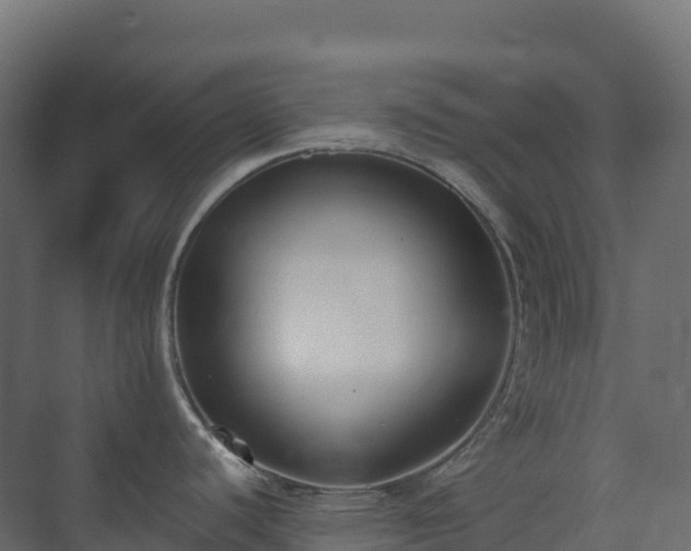 X0000073511440200608071044