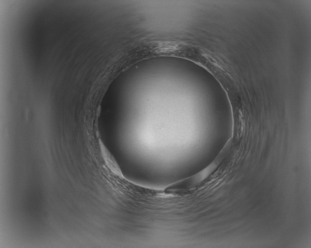 X0000073511441200608071043