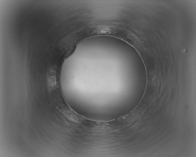 X0000073511442200608071043