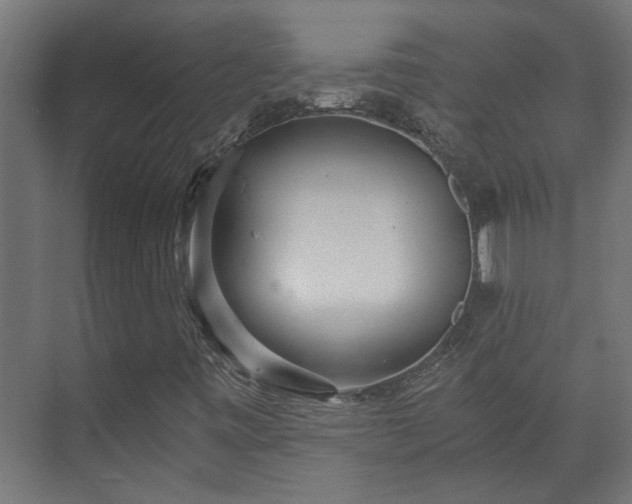 X0000073511443200608071043
