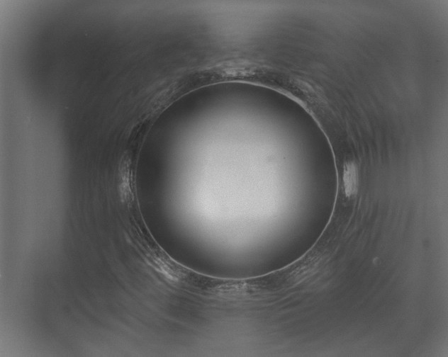 X0000073511444200608071043