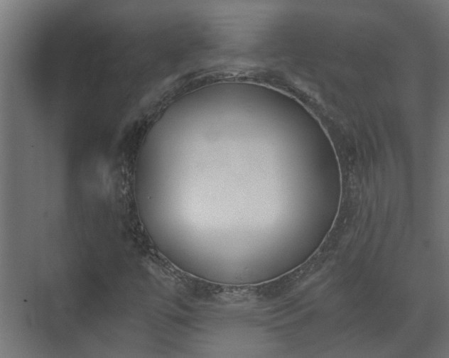 X0000073511447200608071043