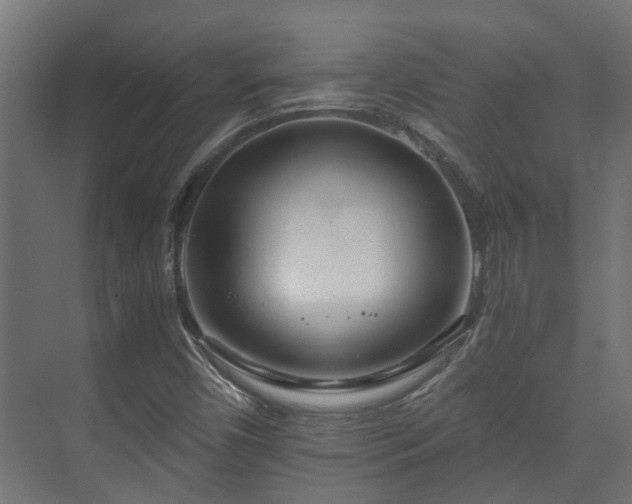 X0000073511450200608071043